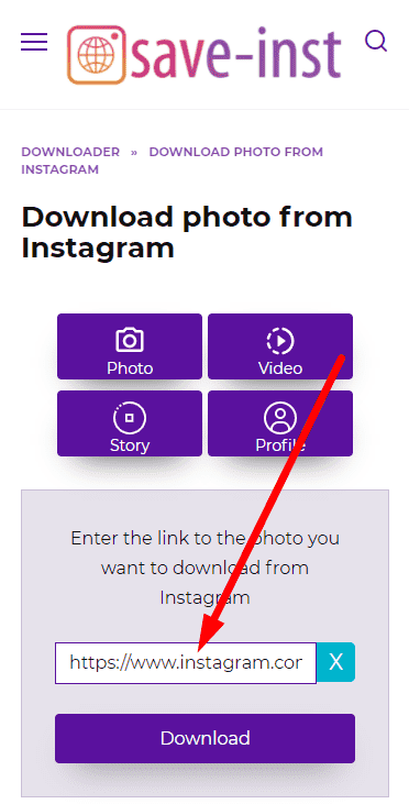 Insert link to Instagram image